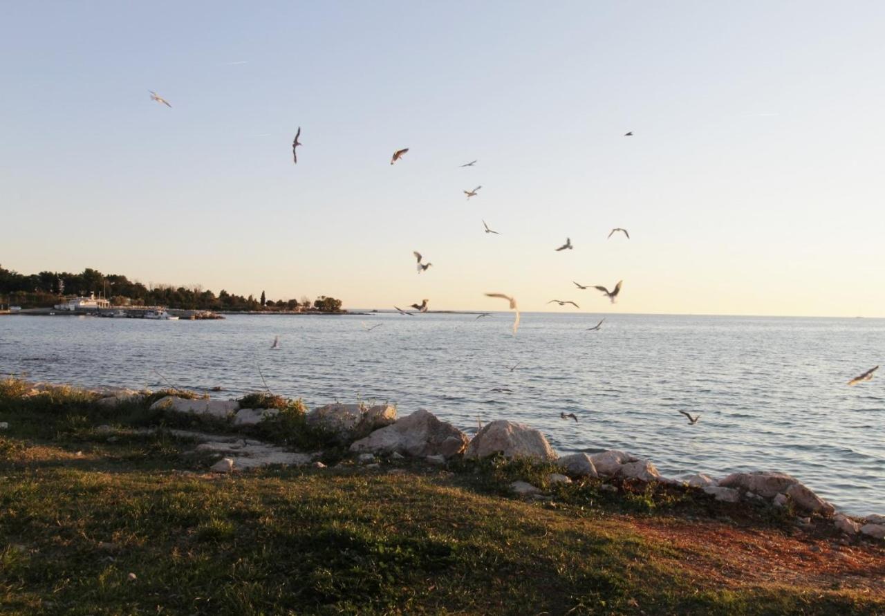 Apartments Zambratija With Sea View Exterior photo